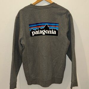 Patagonia Pullover.
